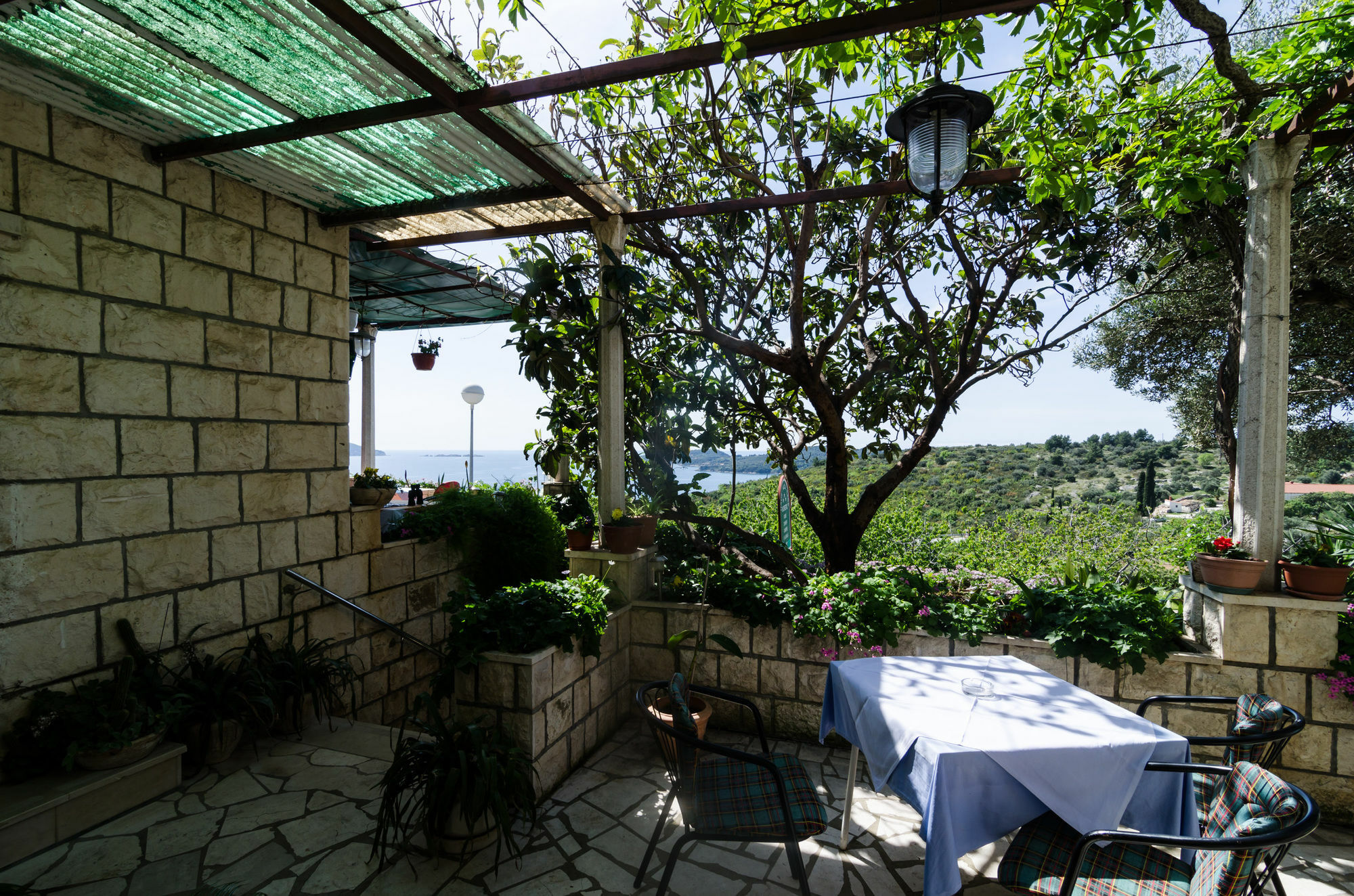 Guesthouse Moretic Орашац Екстериор снимка
